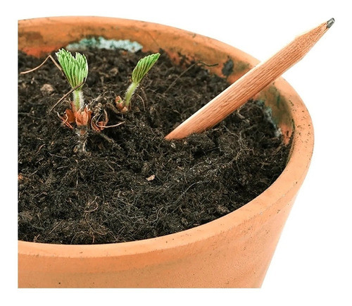 Lapiz Plantable A Granel X 15 0