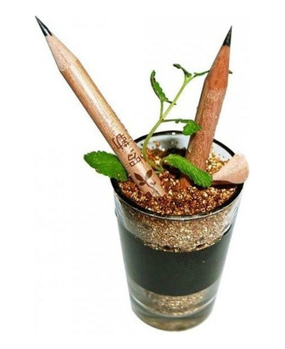 Lapiz Plantable A Granel X 15 1