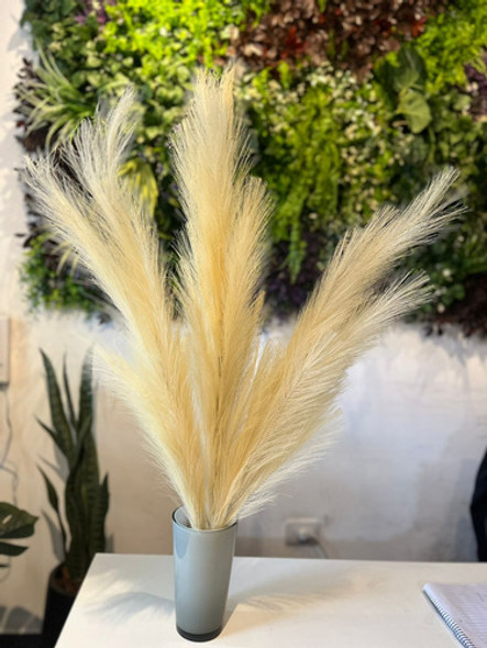 Pampa Grass Vara Decoración Set X3 1