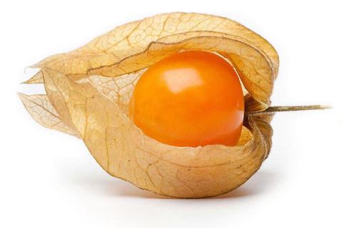 100 Sementes De Phisalys Peruvian Golden Berry. 0