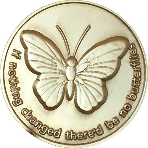 Si Nada Ha Cambiado No Habra Mariposas Bronce Serenidad Orac 0