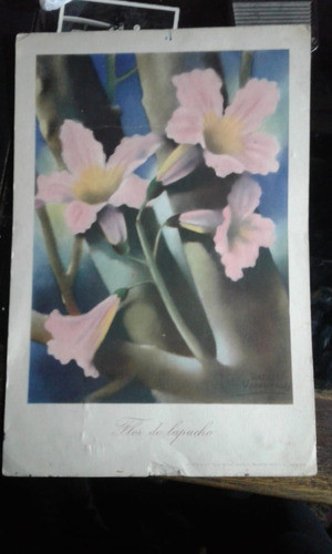Poster Flor De Lapacho Rafael Usandivaras Roche Lamina 0