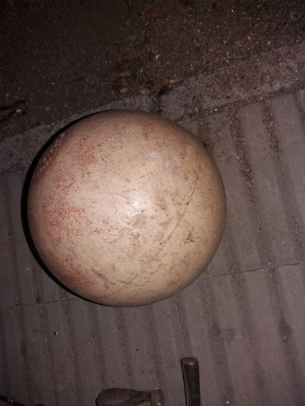 Volla De Pescador Barco 1 Volla De Pescador Barco 1