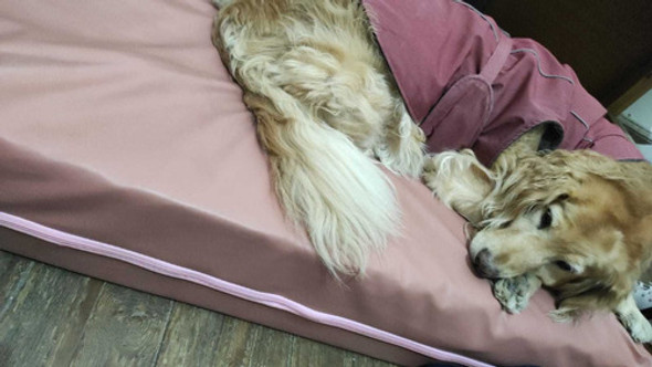 Colchonetas Impermeables Y Lavables Para Perros 0 Colchonetas Impermeables Y Lavables Para Perros 0