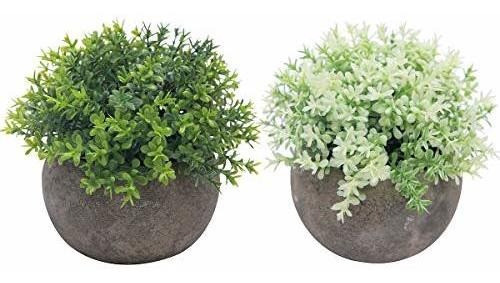 The Bloom Times 2 Piezas De Plantas Falsas Para Decoracion 0