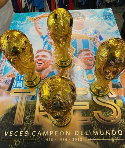 Copa Del Mundo Con La Chapa De Campeon  Argentina 2022 1