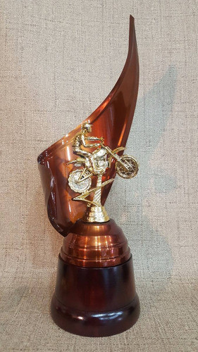 Trofeo Metálico Moto Motocross 37cm Base Madera 1