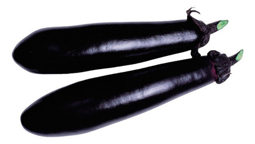 Sementes De Berinjela Híbrida Kokuyo Takii 10g 0