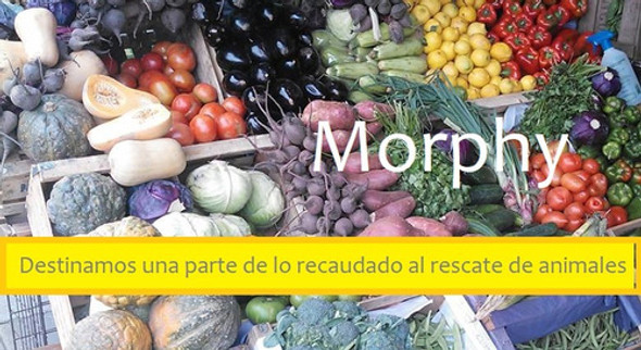 Vianda Wok Verdura Y Pasta  Saludable Y Energético!!! 1