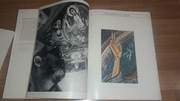 Museo De Arte De Cataluña 1