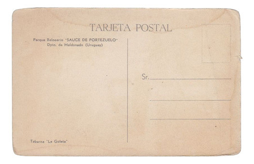 Sauce De Portezuelo Antigua Postal Dibujo De Pierre Fossey 1