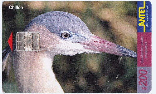 Uruguay Tarjeta Teléfono Tc Nº107  Chiflón  No Muy Común 0