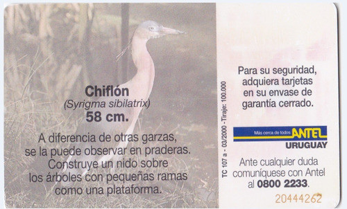 Uruguay Tarjeta Teléfono Tc Nº107  Chiflón  No Muy Común 1