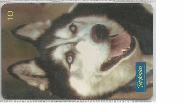 Cartão Telefônico - Husky Siberiano 0