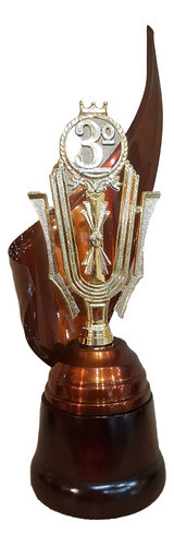 Trofeo Metálico Envolvente Tercer 3º Puesto 37cm Base Madera 0