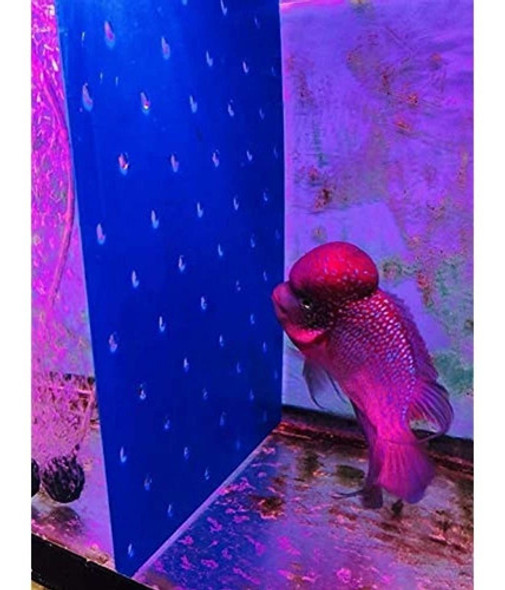 Toyuto Separador Acrilico Para Acuario 102930405575120 1