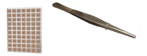 Auriculoterapia - Pinza Recta + 70 Semillas - Oferta!! 0