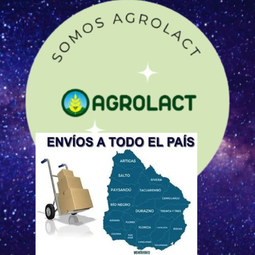 Horno A Gas Cheff 46x46 Cm Progras -agrolact 1