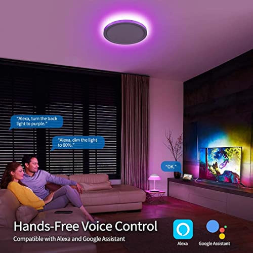 Luces De Techo Led Inteligentes Rgb ¿compatible Con Alexa Y 1