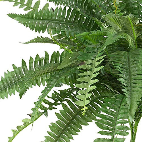 Casi Natural 6032s2 40 Boston Fern Juego De 2 0