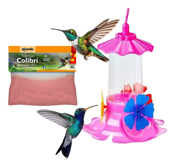Nectar Alimento Colibri Picaflor Colibries Exzootix  Packx5 0