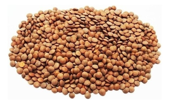 Lentejon Canadiense Premium Sabor A Huerta 1 Kg 0