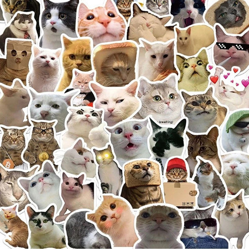 50 Stickers Gato Meme De Pvc Alta Calidad Pegatina Adesivo 0
