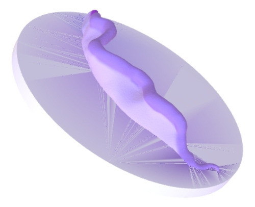 Modelo Anatómico Zika Virus 3d 1