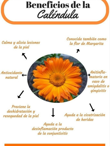 Calendula Flor Deshidratada  X 1kg Distribuidora Lunic 0