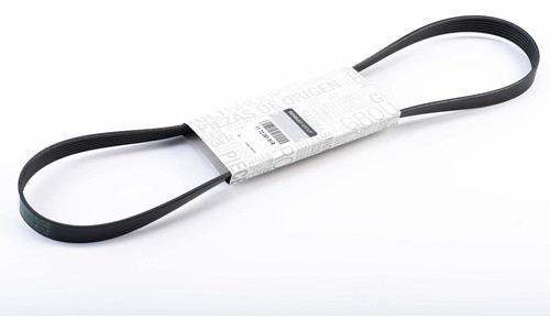 Correa Accesorios Renault 1