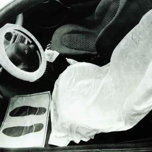 Kit De Proteccion P/interior Vehiculo Sherwin-  Mapache 1