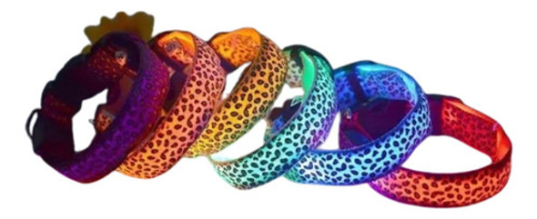 Collar Led Mascota Perro Gato Paseo Seguridad Talle L   L124 0