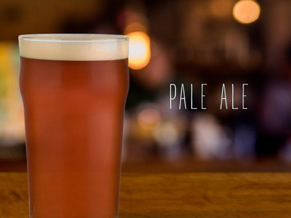 Kit De Insumos Cerveza Artesanal Casera Pale Ale - 50 Litros 0