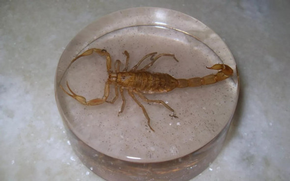 Resina Poliester Cristal + Catalizador X 7 Kilos. 1