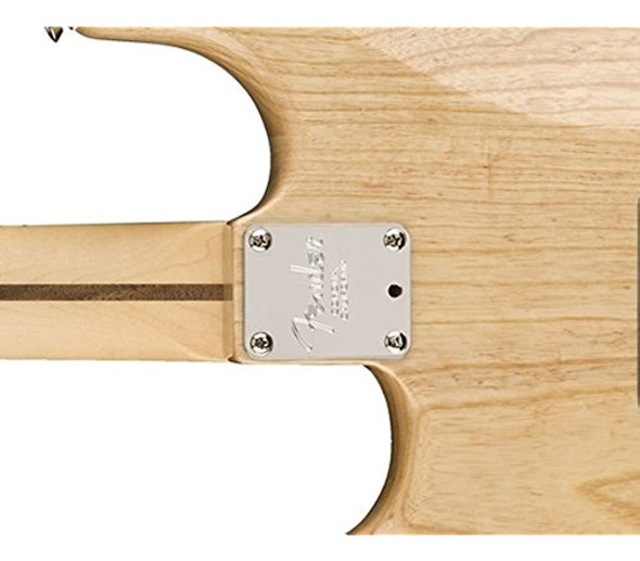 Fender Placa Guitarra Cuello Estándar 1