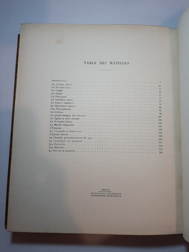 Antiguo Libro Mundo Maravilloso De Insectos 1928 Ro 1156 1