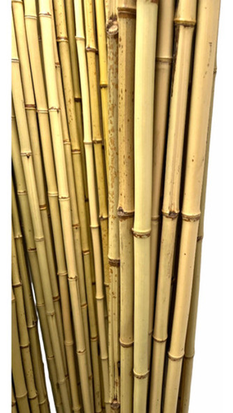 Kit 20 Tutores Bambu Natural 2 Metros Tratados Umidade 0