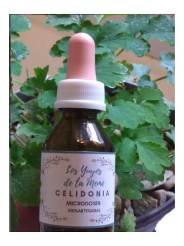 Microdosis Celidonia 20ml 0