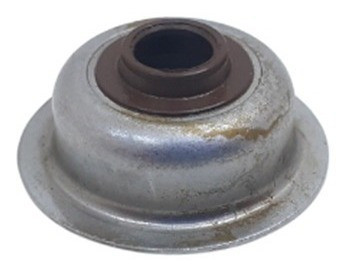 Retentor De Válvulas Motor Gasolina 5.5 6.5 7hp Branco Toyam 0