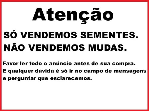 Frete Grátis Manacá + Quaresmeira Rosa E Roxa Sementes Flor 1 Frete Grátis Manacá + Quaresmeira Rosa E Roxa Sementes Flor 1