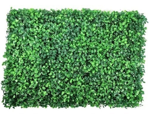 10 Placa Buchinho Folhagem 60x40 Decoração Jardim Vertical 0