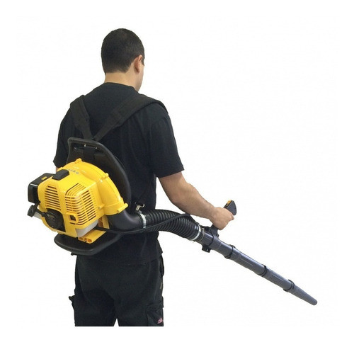 Sopladora Mochila A Nafta Forest&garden 33cc -sg1033 K37 1