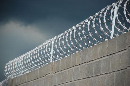 Concertina Serpentina Galvanizada Cubre 11mt Doble Filo Fc 1