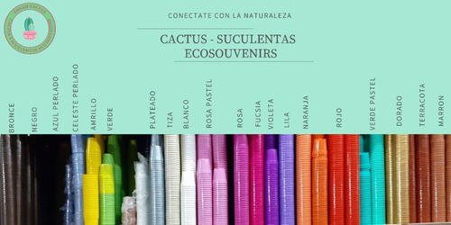 Mini Cactus Y Suculentas Ideal Souvenir O Regalo Por 50 Unid 1