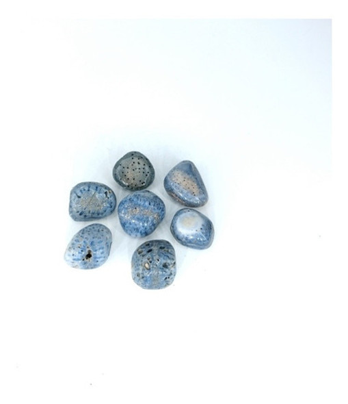 Coral Azul - Ixtlan Minerales 0