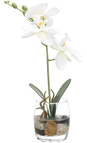 Mygift Mini Orquídea Phalaenopsis Artificial De Seda Sintéti 0