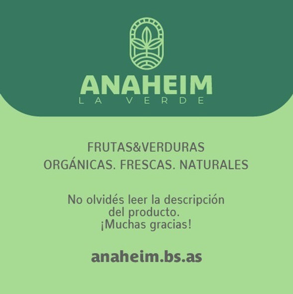 Zapallo Anco X 16 Kilos Orgánico. 1