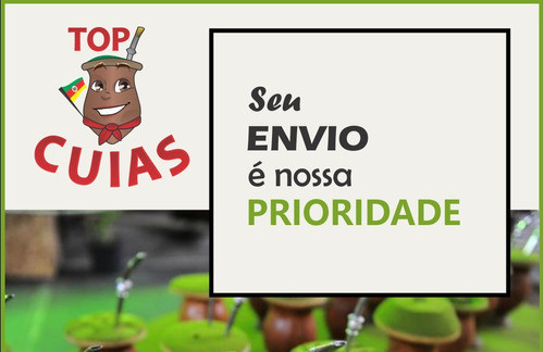 Kit Completo Tereré Guampa Térmica Mateira E Bomba Inox Ouro 1