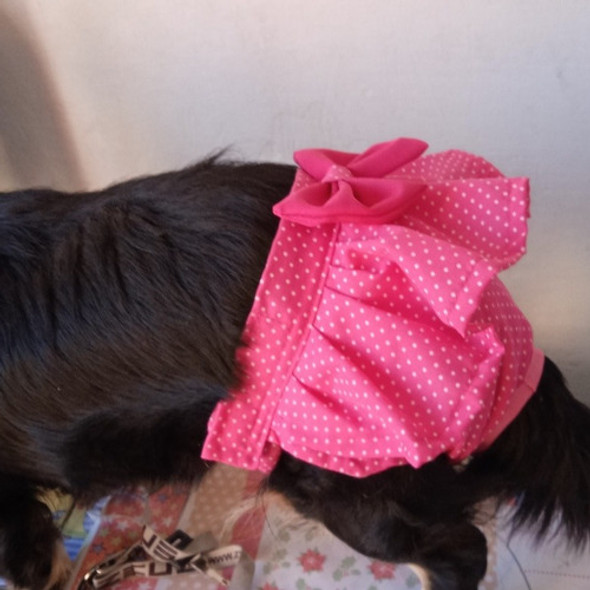 Bombacha De Celo Ropa Para Perros Y Gatos 1