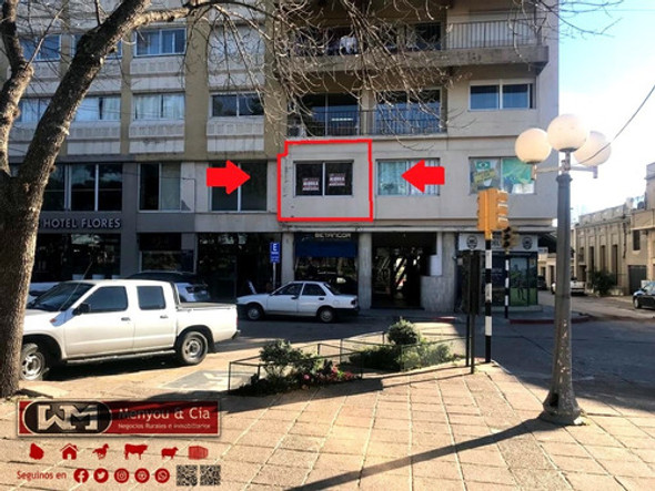 Alquiler Local Comercial U Oficina En Trinidad Flores Centro 1